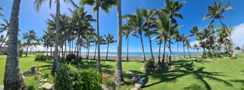a view of the beach from the resort at Dolphin Heads - Resort Unit - Absolute Beachfront! - Whitsunday Getaway! in Mackay