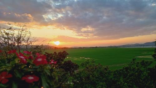 a sunset over a green field with flowers in the foreground at Lak View hotel in Lien Son