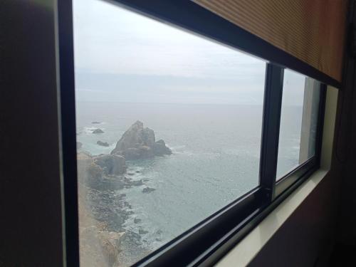 Naturlandskabet i nærheden af lejligheden