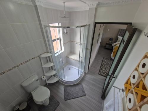 a small bathroom with a shower and a toilet at Le-n-Biki Air B&B in Harrismith