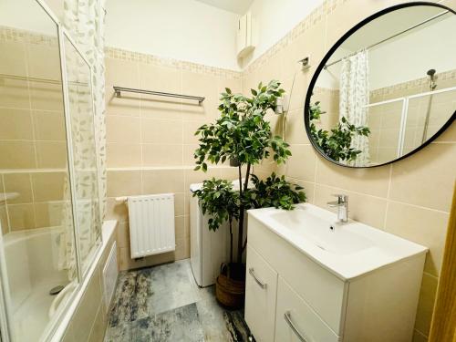 La salle de bains est pourvue d'un lavabo, d'un miroir et d'une plante. dans l'établissement Bp-EST CP, à Budapest