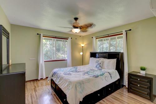The Coqui Shack cabin – Photos 4
