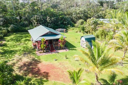 The Coqui Shack cabin – Photos 5