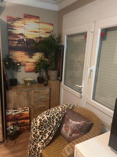 Φωτογραφία από το άλμπουμ του Jungle Magic Room near Atomium , Heyzel Stadium σε Strombeek-Bever