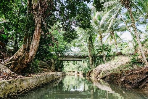 a bridge over a river in a jungle at Daya Farm and Adventure in Banay-Banay