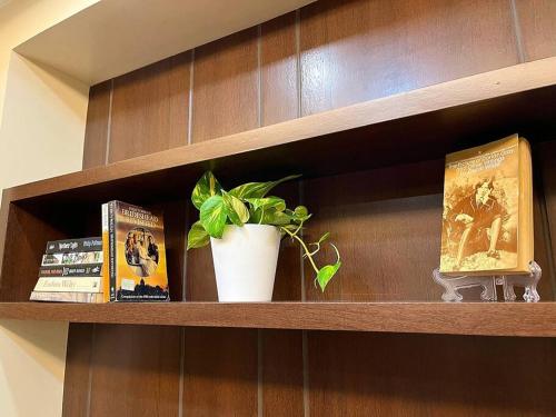 a shelf with books and a potted plant on it at Stylish Iloilo condo w/ Netflix and pool access in Iloilo City