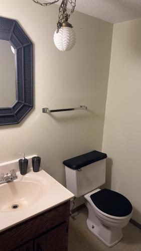 W łazience znajduje się toaleta z umywalką i lustrem. w obiekcie CCS LLC w mieście Champaign
