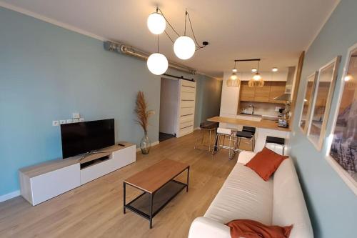un salon avec un canapé blanc et une télévision dans l'établissement Appartement cozy et calme à Grenoble, à Grenoble