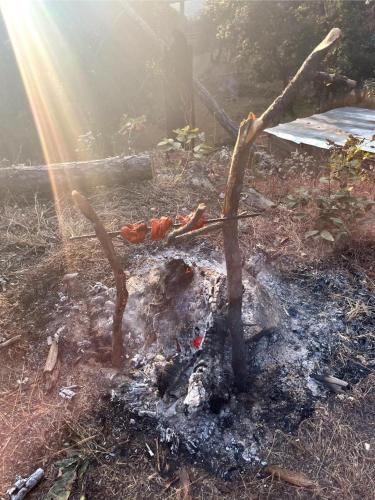 a fire in a field with the sun shining at Glampinn Woods in Nainital