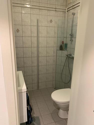 łazienka z toaletą i prysznicem w obiekcie Room in Stabekk Appartment w mieście Stabekk