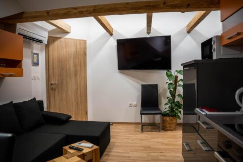 sala de estar con sofá negro y TV de pantalla plana en Apartma AJJA, en Šenčur