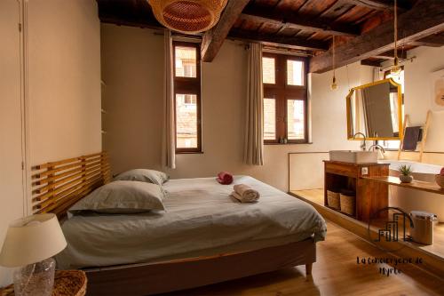 a bedroom with a bed and a sink and a mirror at Sous les toits de Sainte-Cécile in Albi