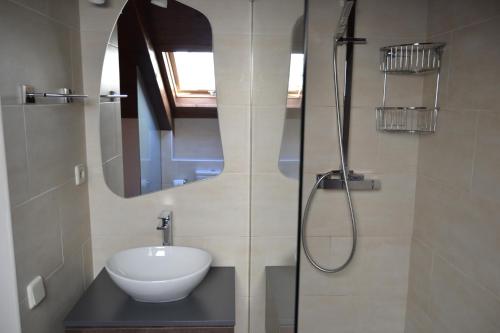 a bathroom with a sink and a shower at NRY ESTANCES I SERVEIS EL TARTER 2 in Erill la Vall