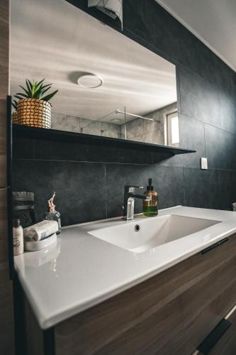 Un baño con un lavabo blanco y un espejo. en GITE , AU DORMEUR DU VAL, en Vireux-Wallerand