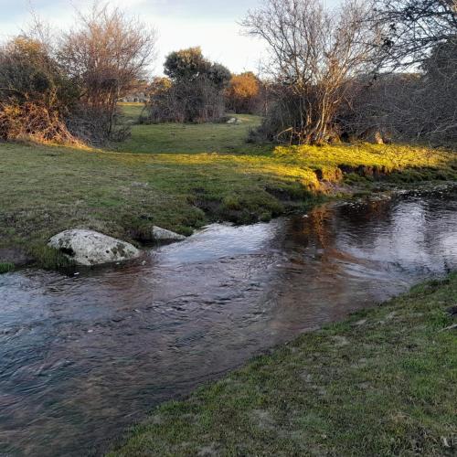 a stream of water in a field with flowers at Piso Navas in Navas de San Antonio