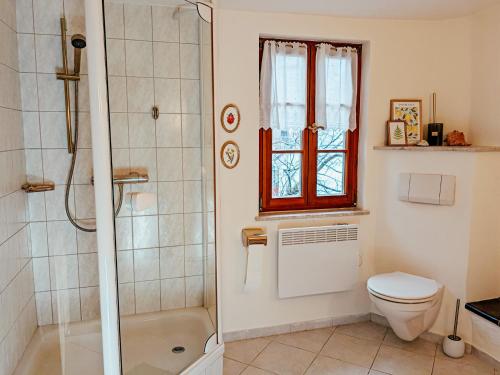 baño con ducha y aseo y ventana en Gemütliches Landhaus im Taunus, en Bremberg