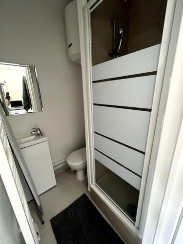 a bathroom with a shower and a toilet and a mirror at Studio cozy proche Paris in Gentilly