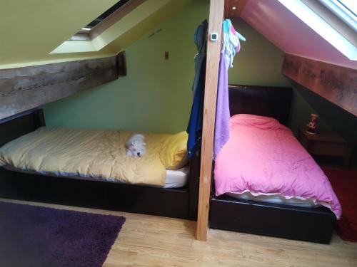 a couple of bunk beds in a room at The Comfy House in Huddersfield