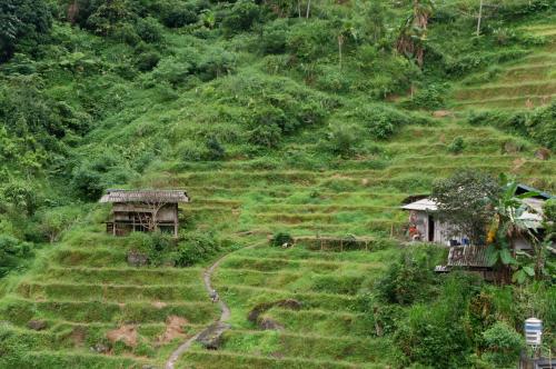 Gallery image of Bikki's jungle homestay in Ha Giang