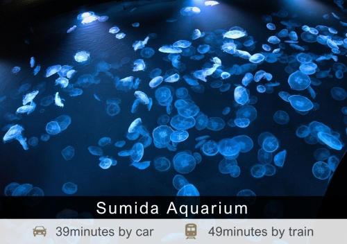 a group of jellyfish swimming in a tank at Tokyu Stay Aoyama Premier in Tokyo