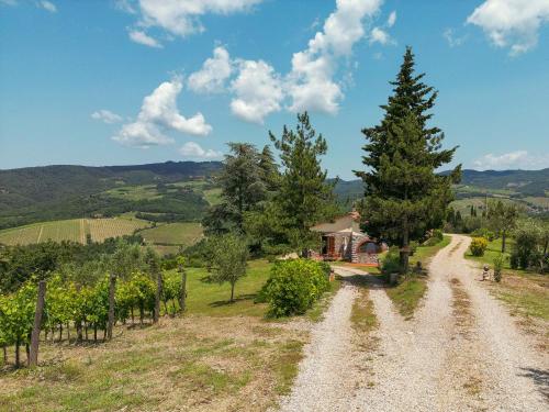 a dirt road in a vineyard with a tree at Tenuta il Poggetto in Radda in Chianti