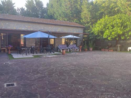 een patio met 2 parasols, tafels en stoelen bij Country House Il Vecchio Frantoio in Monteleone dʼOrvieto