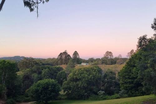 a view of a hill with trees and rocks at Serenity Cottage Retreat in Woombye