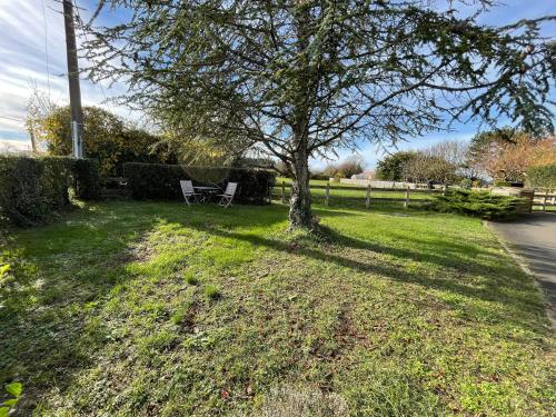 un arbre assis dans l'herbe à côté d'une route dans l'établissement La belle abeille, à Eyrans-de Soudiac