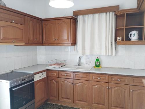 Küche/Küchenzeile in der Unterkunft Ionias Penthouse