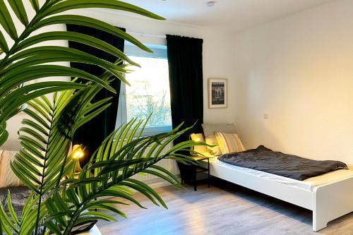 um quarto com uma cama e uma planta grande em Work & stay apartment in Neuss em Neuss