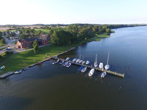 a group of boats docked at a dock in the water at Appartementhaus Schleiblick in Kappeln