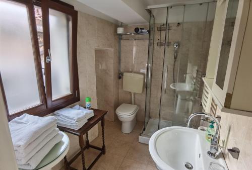 uma casa de banho com um lavatório, um chuveiro e um WC. em Palazzo Eugenia - Minelli em Veneza