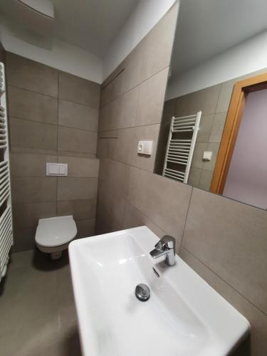 a bathroom with a sink and a toilet and a mirror at Apartmány Česká Třebová in Česká Třebová