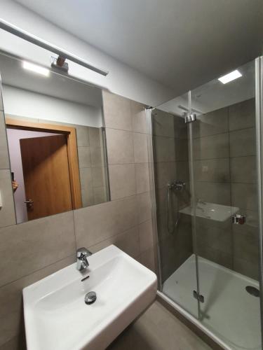 een badkamer met een wastafel en een douche bij Apartmány Česká Třebová in Česká Třebová