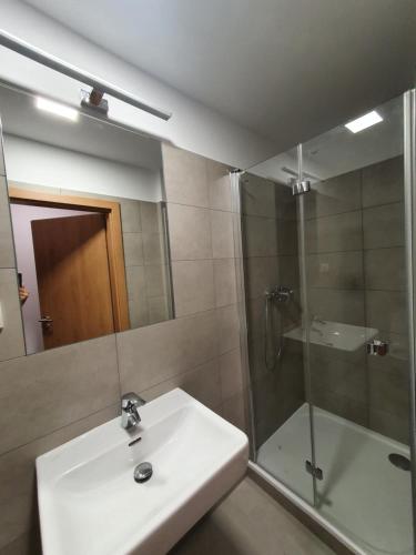 a bathroom with a sink and a shower at Apartmány Česká Třebová in Česká Třebová