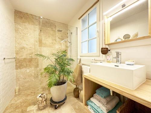 La salle de bains est pourvue d'un lavabo et d'une douche avec une plante. dans l'établissement L'Alcove, à Chartres