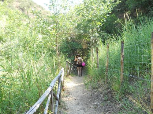 a person walking down a path on a trail at Casa Dolce Casa in Enna