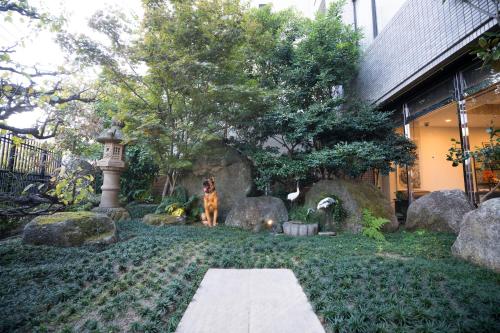 a dog sitting in a yard next to a building at Hotel Hakata Nakasu Inn in Fukuoka