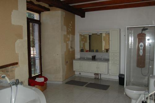 a bathroom with a shower and a sink and a toilet at Haras des Hayes in Tresson