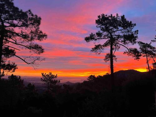 a sunset with a tree on a hill with a mountain at Villa Ormarine, vue exceptionnelle sur la baie de Cannes et le Mercantour in Les Adrets de l'Esterel
