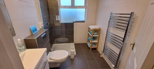 a small bathroom with a toilet and a sink at Gort Lodge in Portmagee