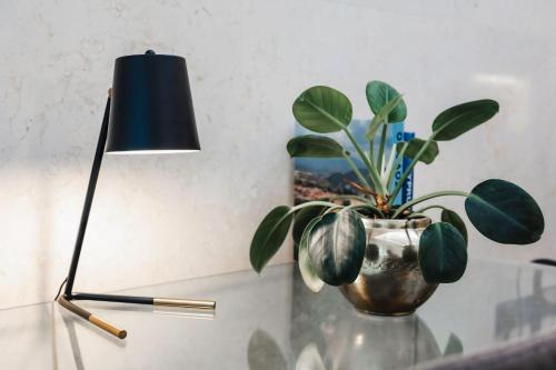 a plant in a vase on a table next to a lamp at 16 EXECUTIVE SUITES in Nicosia