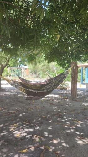 eine Hängematte, die von einem Baum im Hof hängt in der Unterkunft Chácara Refúgio de Assis in Pirambu