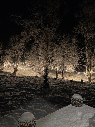 a park covered in snow with trees and lights at Porumbacu Garden in Porumbacu de Sus
