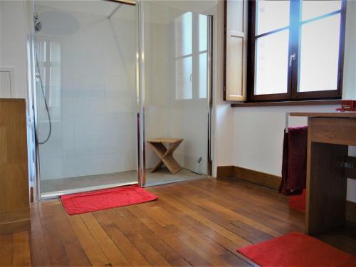 une salle de bain avec douche et un tapis rouge dans l'établissement L'esprit d'antan, quartier historique deux personnes, à Chartres