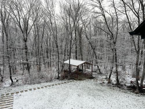 a gazebo in the middle of a snow covered forest at CHALET WOODS GUSAR in Qusar