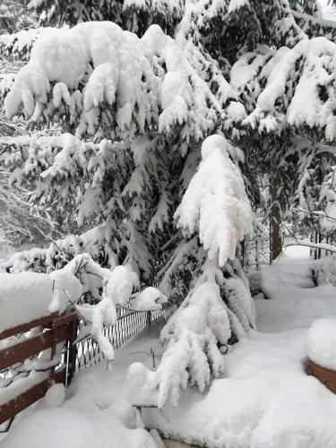 a bush covered in snow next to a fence at Naturparadies in Marktl