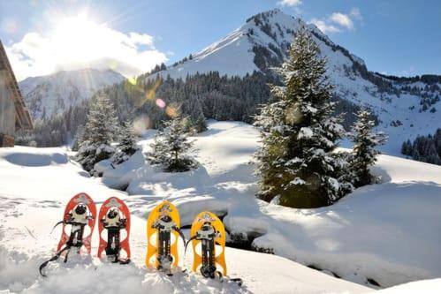 a group of skis in the snow on a mountain at L'Escale du Léman in Publier