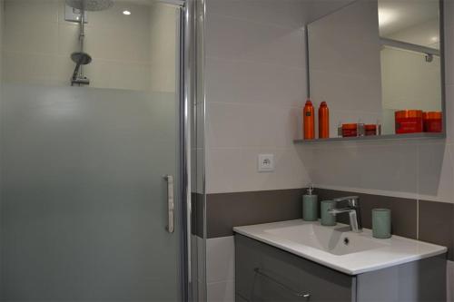une salle de bain avec une douche, un lavabo et un miroir dans l'établissement La Garde de la Tonnellerie, à Chartres