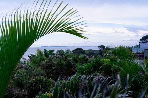 a palm tree with the ocean in the background at 145 Forest Drive - Umhlanga in Durban